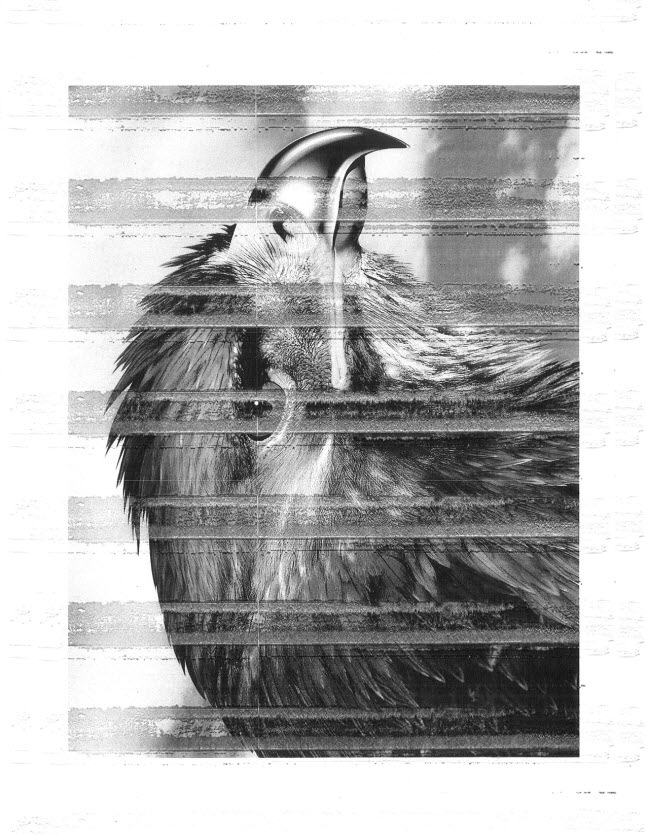 C73x&X73x ? Thermal Damage